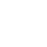icon1-itsupport.fw