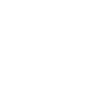 icon1.networks.fw