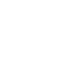 icon1.voiceoverip.fw