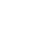 icon1.websites.fw